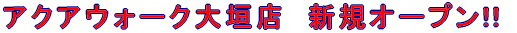 �A�N�A�E�H�[�N��_�X�@�V�K�I�[�v���������܂���!! 